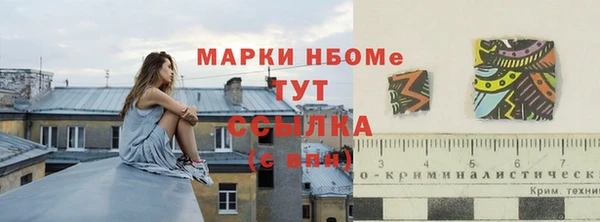 хмурый Алзамай