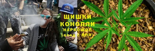 хмурый Алзамай