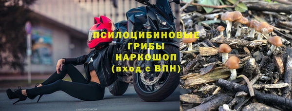 герыч Алексин