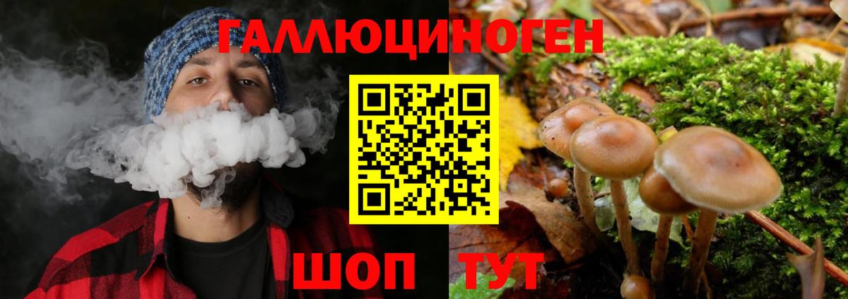 Галлюциногенные грибы мухоморы Нижнеудинск